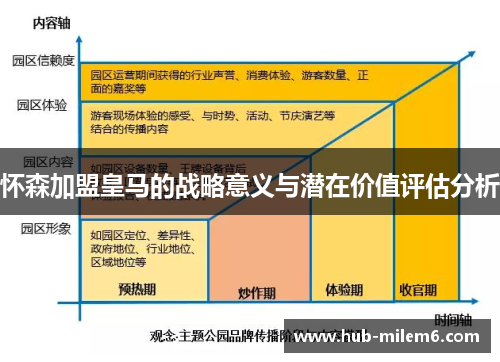 怀森加盟皇马的战略意义与潜在价值评估分析