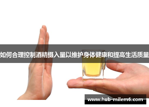 如何合理控制酒精摄入量以维护身体健康和提高生活质量