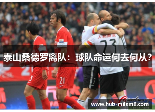 泰山桑德罗离队：球队命运何去何从？