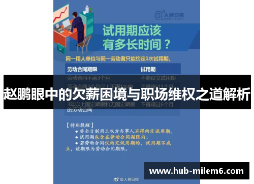 赵鹏眼中的欠薪困境与职场维权之道解析