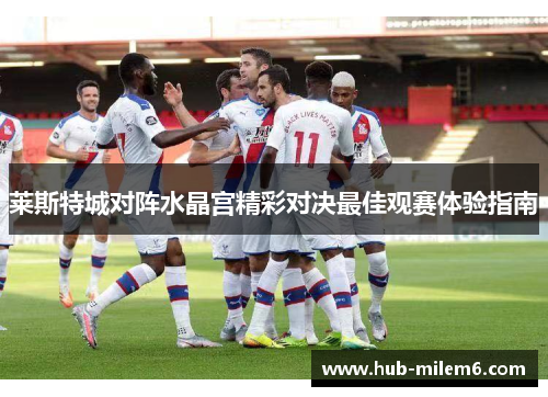 莱斯特城对阵水晶宫精彩对决最佳观赛体验指南