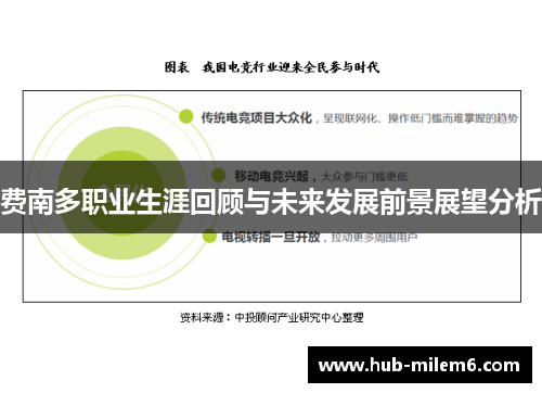 费南多职业生涯回顾与未来发展前景展望分析