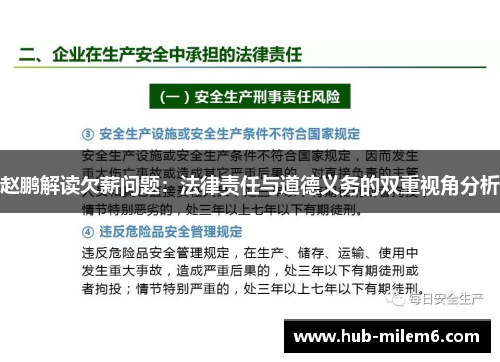 赵鹏解读欠薪问题：法律责任与道德义务的双重视角分析