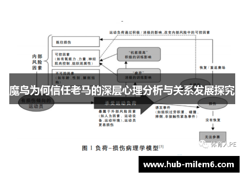 魔鸟为何信任老马的深层心理分析与关系发展探究